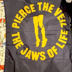 Pierce the veil concert merch